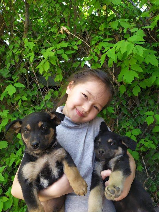 Даярлық "А" сыныбы Жақсылық Жанерке